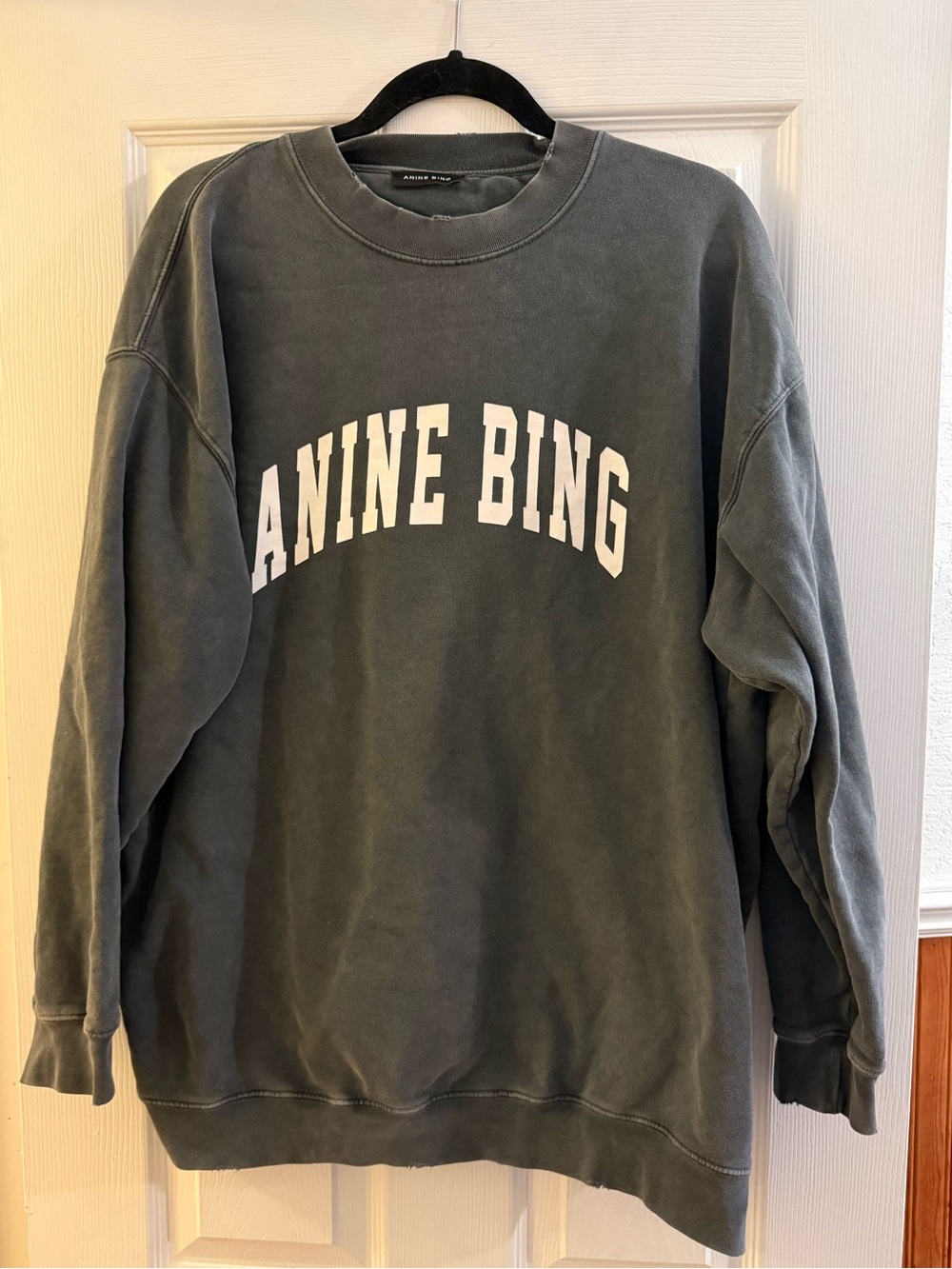 Anine Bing Olive Crewneck Sweatshirt Size M